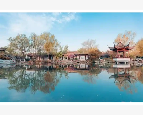脾虚脸色发黄调理之中医传统方法及健康建议