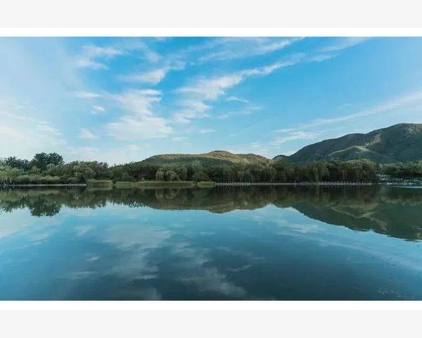 化痰止咳的精油选择与应用