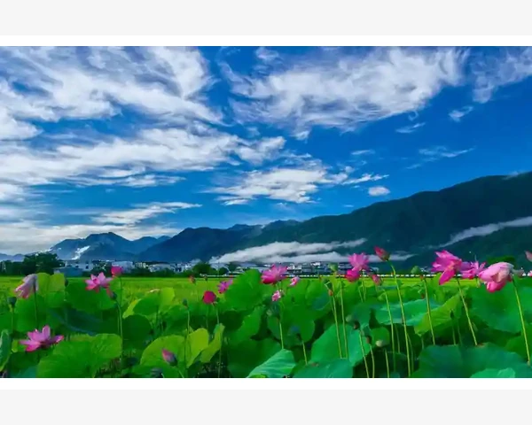 B2B建筑供应链从零到一搭建